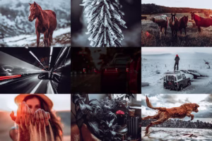 Elite Lightroom Presets