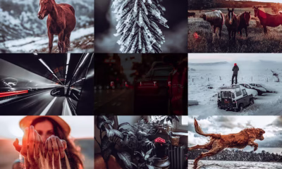 Elite Lightroom Presets