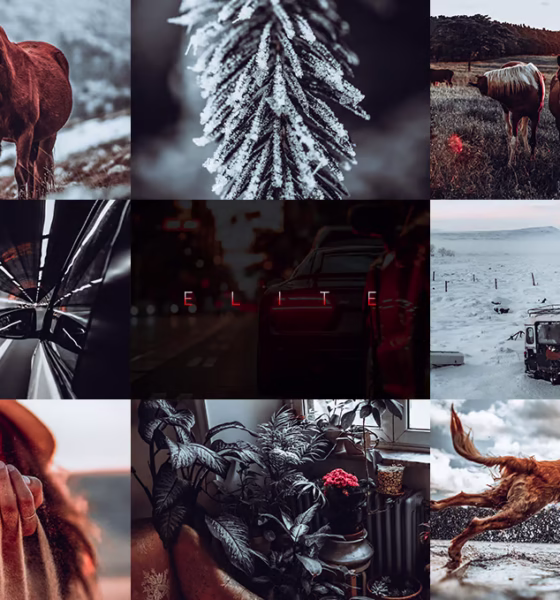 Elite Lightroom Presets