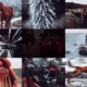 Elite Lightroom Presets